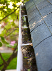  gutter cleaning costs